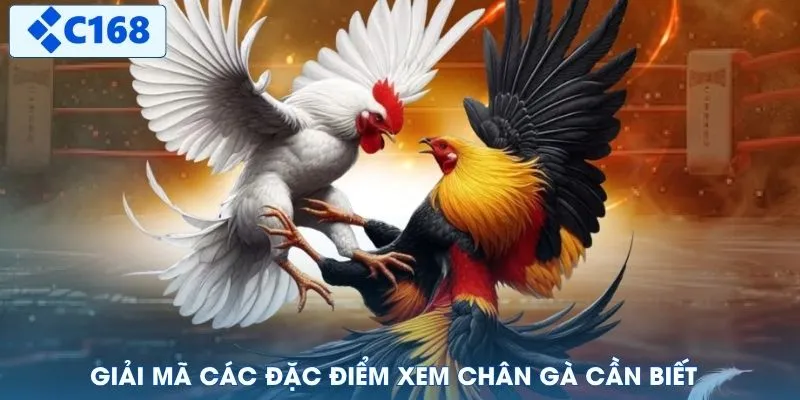 Giải mã các đặc điểm xem chân gà cần biết