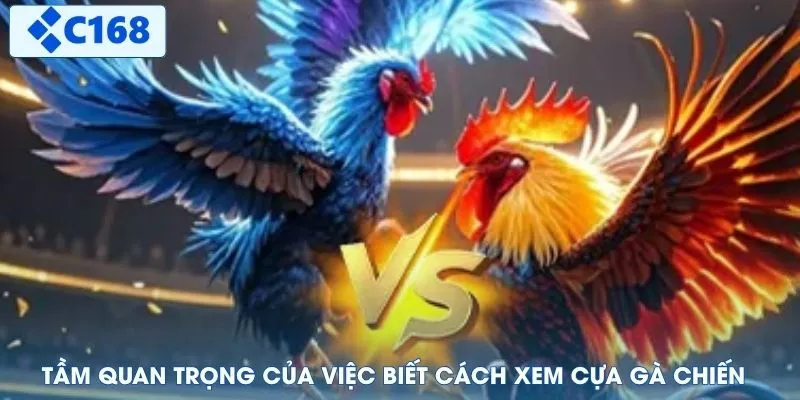 Tầm quan trọng của việc biết cách xem cựa gà chiến