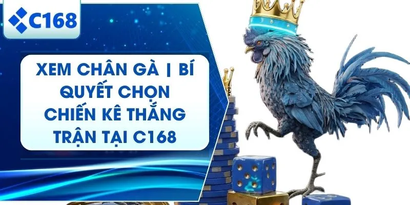 Xem Chân Gà C168 | Giải Mã "Thần Kê" Mang Lại Chiến Thắng