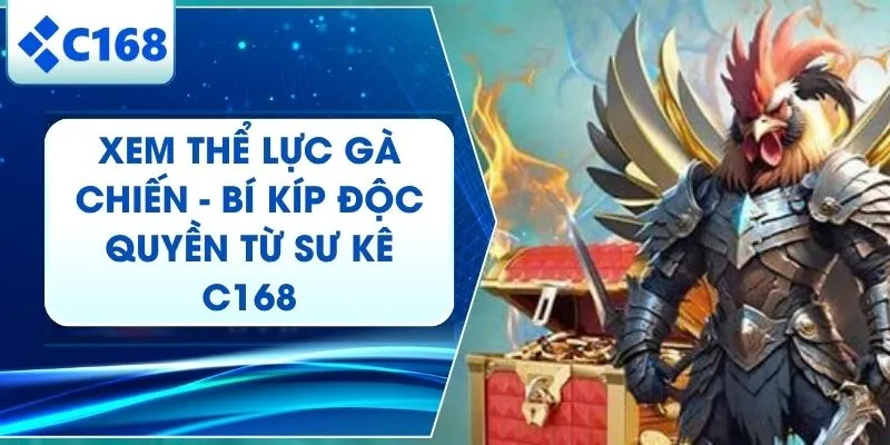 Xem Thể Lực Gà Chiến -  Cách Chuyên Gia C168 Nhận Diện Chiến Kê